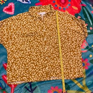 LuLaRoe Brown and White Button Down Shirt